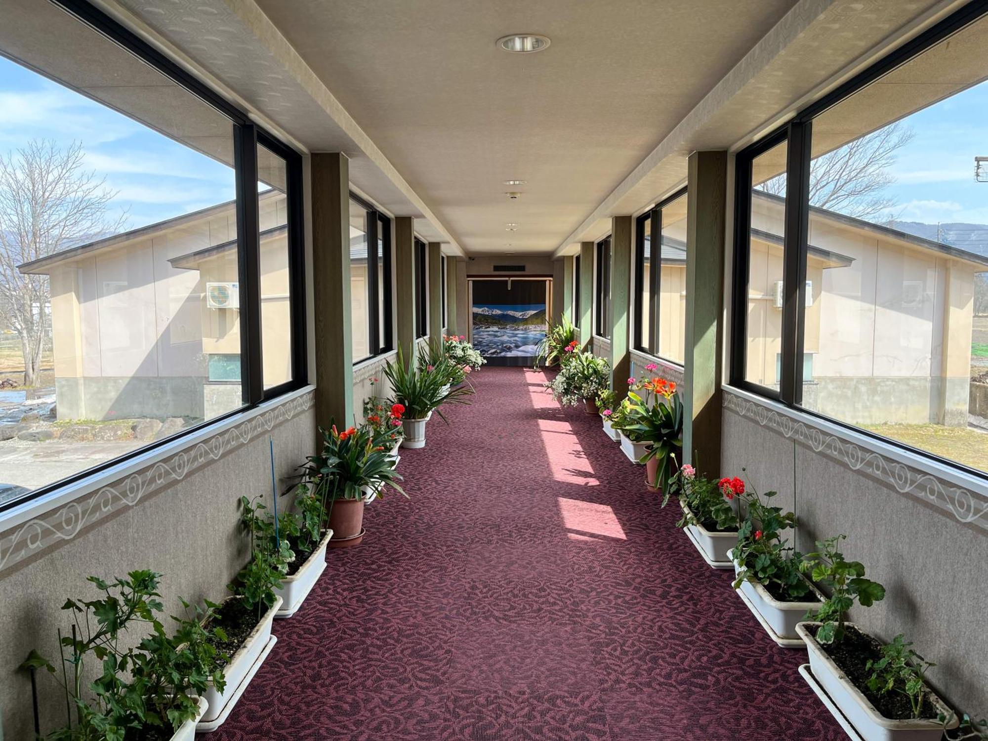 Hotel Goryukan Хакуба-Мура Экстерьер фото